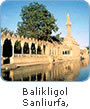 Balikligol, Sanliurfa